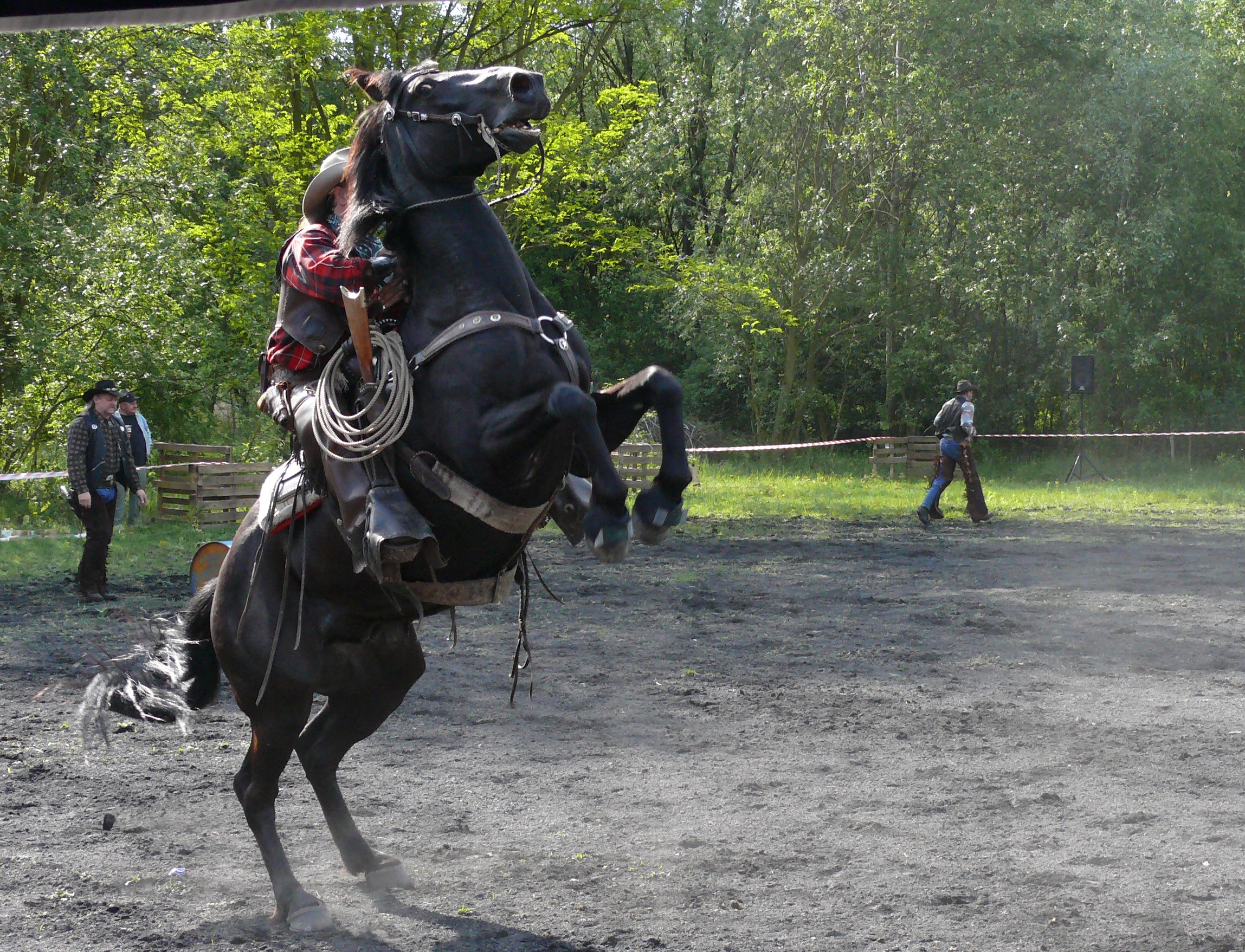 P1010471.JPG
