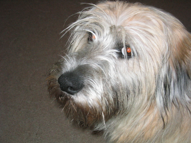 Denny IMG_0159.JPG