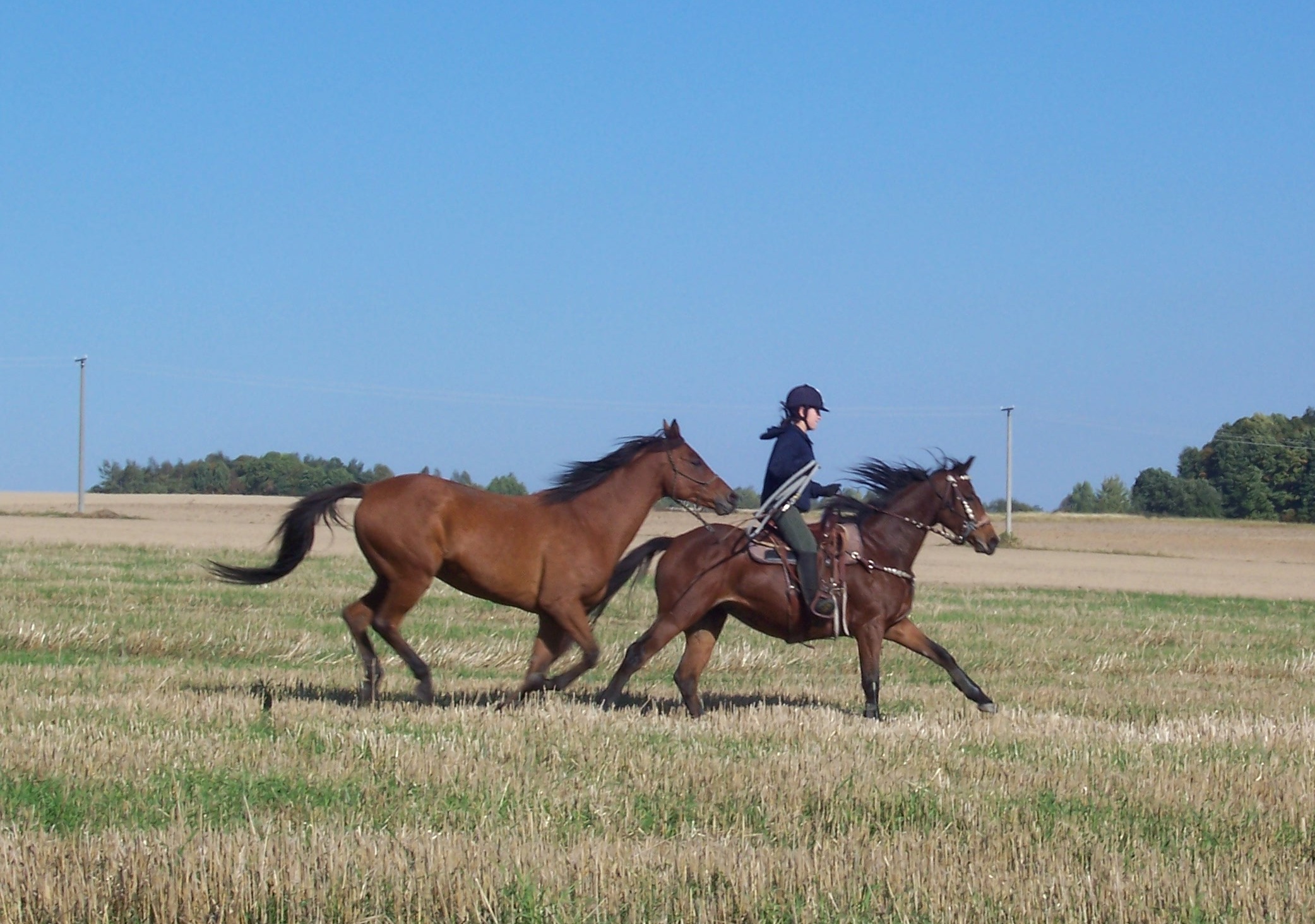 P1089.JPG