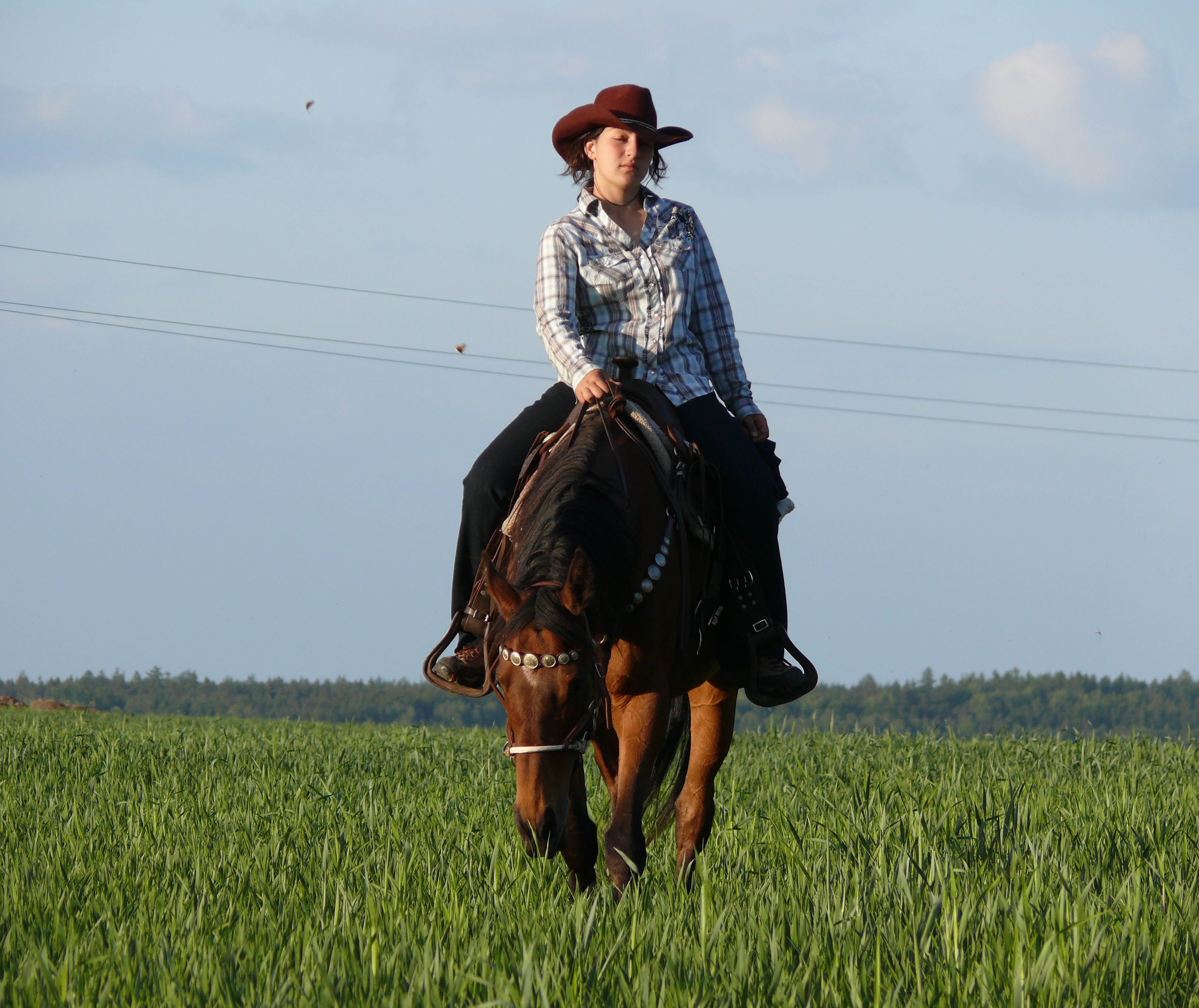 P1010511.JPG