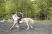 MG_1302.jpg